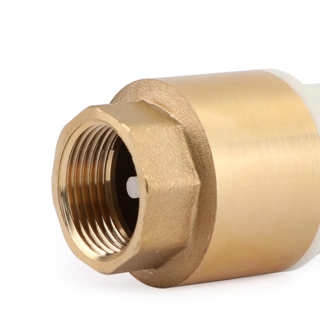 3/4" NPT Inline Check Foot Valve Brass Spring Loaded With Filter 200 PSI