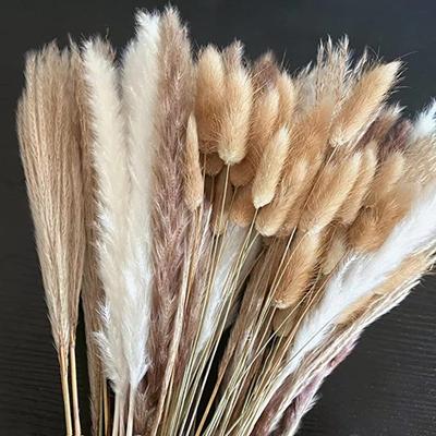 Getrocknete Pampas zur Dekoration, flauschiges, natürliches, großes Pampas-Set, 30–100 Stück, kleiner Schilf-Blumenstrauß, Boho-Heim-Ramadan-Dekor