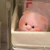 Soft Plush Pig Head Bag Pendant Animal Keychain Plush Pig Keychain  Female Lady Girl