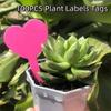 100PCS Heart Shaped Plant Labels Tags Reusable Succulent Signage  Succulents Identification