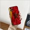 Moroccans Morocco Flag Passport Phone Case For Apple iPhone 15 14 16 13 12 11 Pro Max Mini 8 7 XS XR SE Shockproof Back Cover