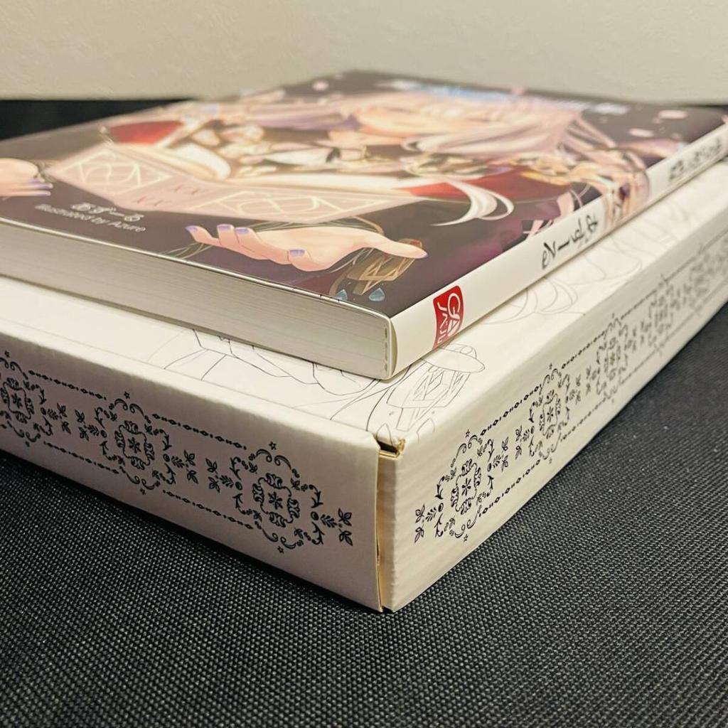 [USED] Wandering Witch: The Journey of Elaina Volume 16 Deluxe Special Edition with Art Book, Art Book, Illustration Book, Limited Edition, Elaina