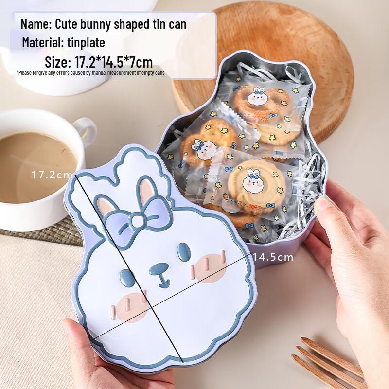 Meidi Cute Rabbit Iron Storage Tins (Set of 2)