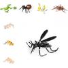 Realistisches Insektenmodell-Set Für Kinder Pädagogisches Und Sammlerstück Spielzeugsammlung