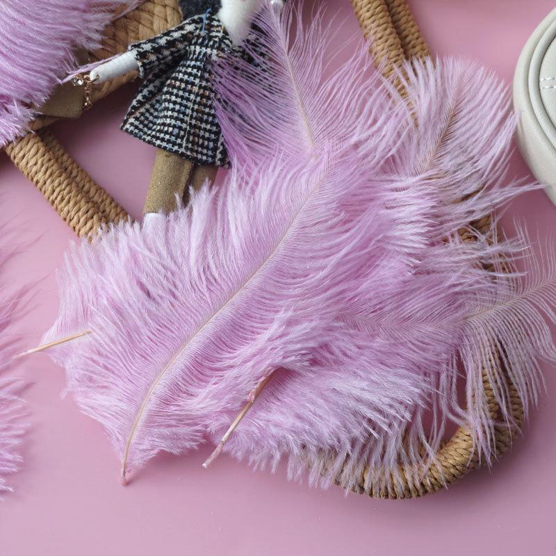 Colored Ostrich Hair 15-20Cm Wedding Ornament Wall Decoration Feather Wall Hand Bouquet Diy Dream Catcher Material
