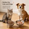 201 Stainless Steel Cat Bowls Tilted Pet Bowls Stable Cat Food Bowl  Pet Supplies