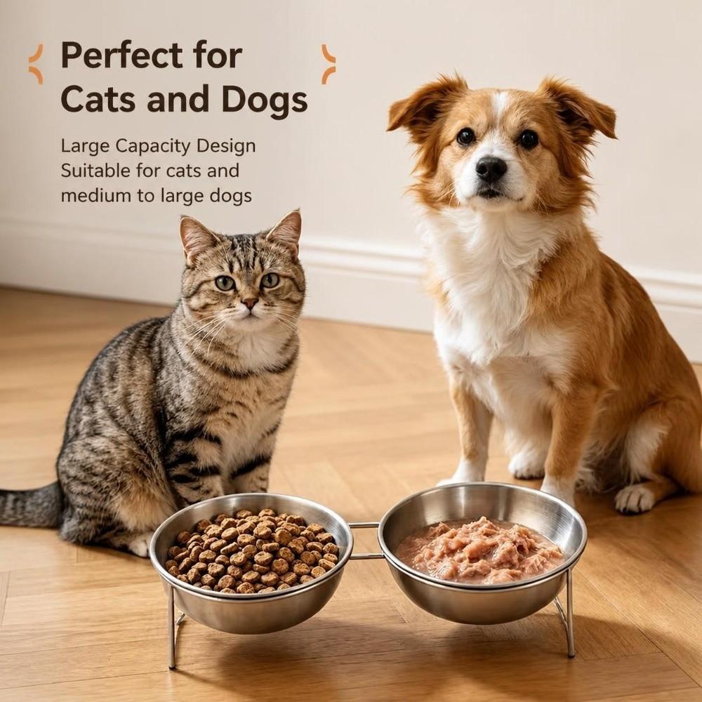 201 Stainless Steel Cat Bowls Tilted Pet Bowls Stable Cat Food Bowl Pet Supplies