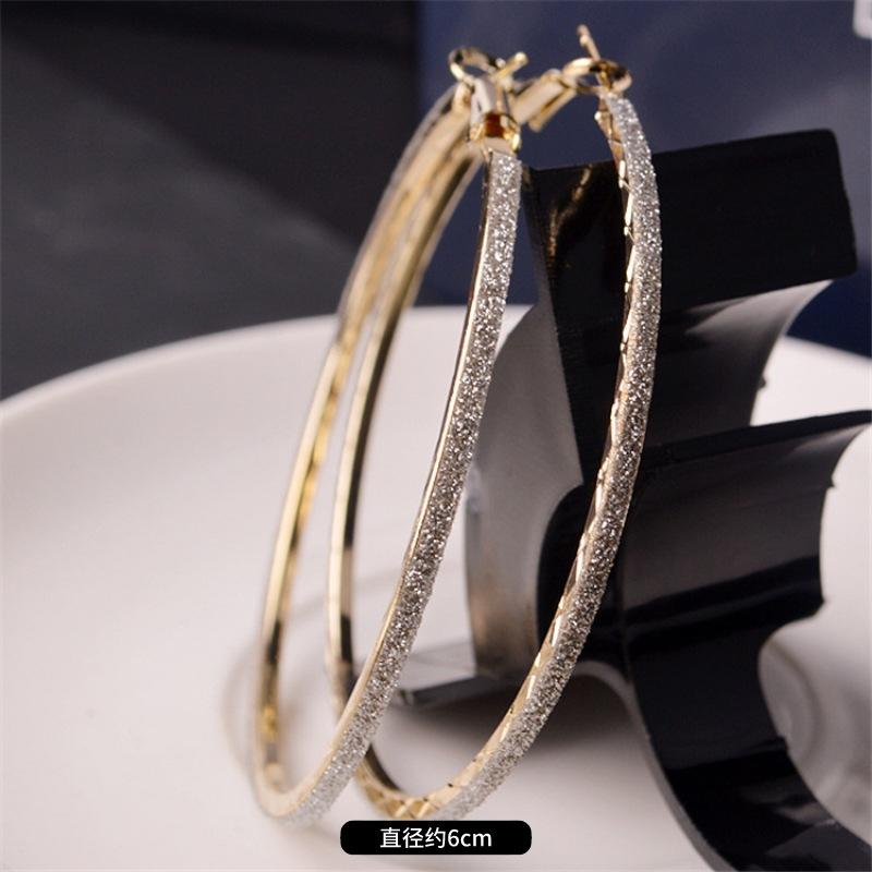 Fashion exaggerated niche temperament fringed earrings retro personality versatile sequined earrings women's long ear jewelry