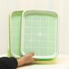 Hydroponic Seedling Tray for Soilless Growing: Vegetable, Bean, Wheat, Garlic Cultivation