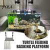 Reptile – Terarii pentru reptile