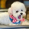 NEW Soft Dog Bandanas Breathable Adroable Pet Bandana with Red Plaid Bow Tie Dog Bibs for Small Medium Puppy Cat