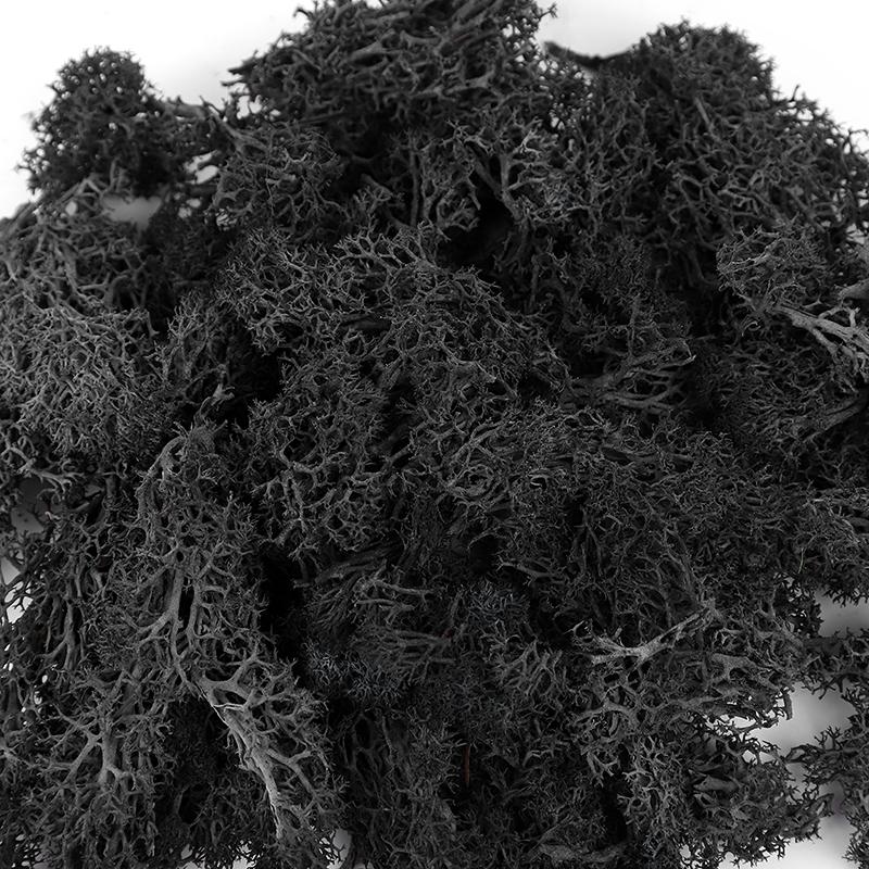 20/40/100g Artificial Green Plants Eternal Life Moss Grass DIY Crafts for Home Garden Room Decoration Mini Landscape Fake Flower