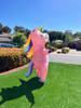 Unicorn Rainbow Inflatable Costume for Christmas & Halloween Parties