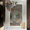 [USED] Funkopop 50th Anniversary Goofy & Dumbo