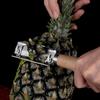 Pineapple Slicer Food Grade Rustproof Sharp Blade Corrosion Resistant Wooden Handle Labor-saving High Strength Handheld Pineapple Peeler