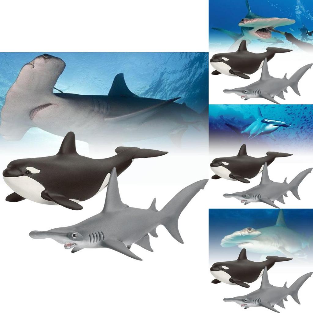 Realistic Sea Life Pvc Model Collection Including Whales Dolphins Sharks And Sea Lions