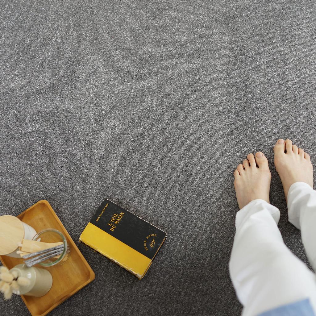 Suminoe Custom Rug, Dark Gray, 80cm Wide X 105cm Long, ECOROA, Flame Retardant, Deodorizing