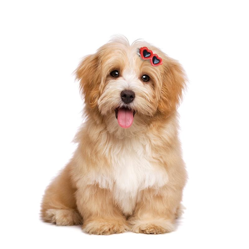 

Pet Hair Accessories Glasses Hairpin: Cute Sunglasses Clip for Dogs and Cats