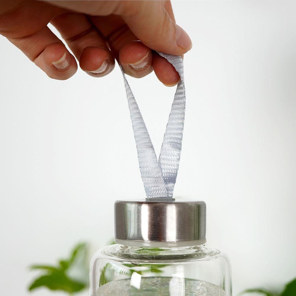 Glass Bottle for Drinks Water Juice Lemonade Cocktail Smoothie Bottle 0.49L