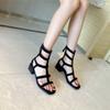 French Roman sandals female new fairy style fashion thick heel high heel summer with skirt zipper cool boots tide