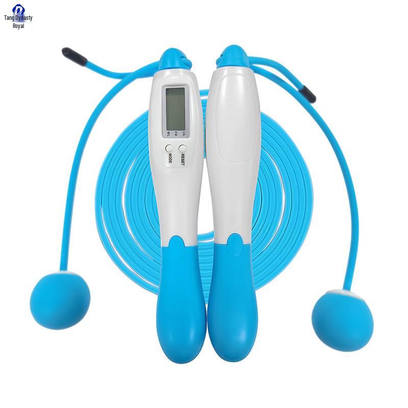 Datangyu Smart Weighted Counting Jump Rope