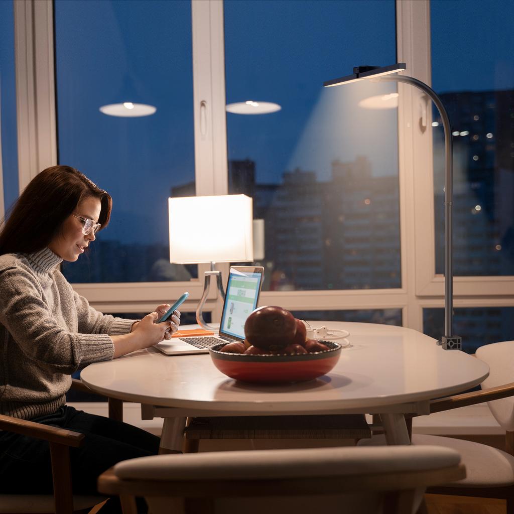 Double Head Swing Arm Desk Lamp RGBCW LED Office Light RGB Color Changing Light Music Sync Touch