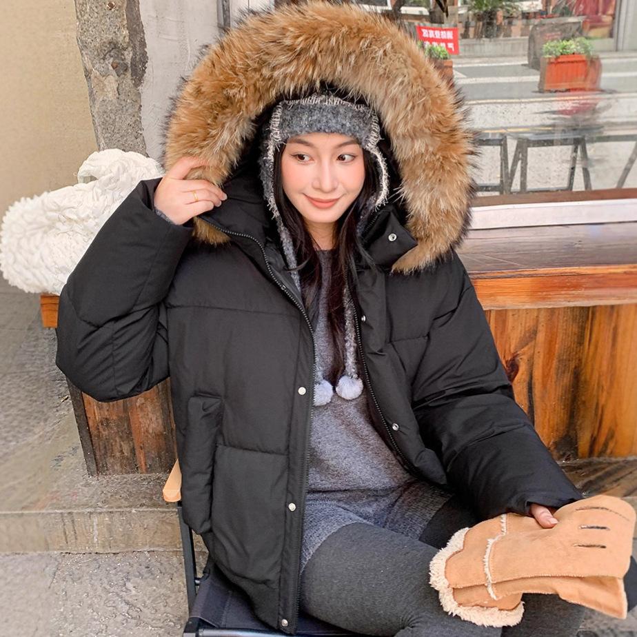 Women's new cotton-padded clothing winter thickened fashion cotton-padded jacket small short down cotton-padded jacket