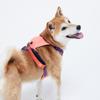 Tail High Hybrid Harness Berry Pink