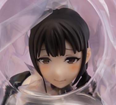 

фигурка в масштабе 1/7 коренной горничной-суккуба Розовой Кошки Ёмидзавы Цукино...