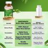 Baidyanath Aloe Vera 60 Tablets 250 Mg Daily Wellness Supplement Skin Care Support Routine Vegetarian Pack Of 1