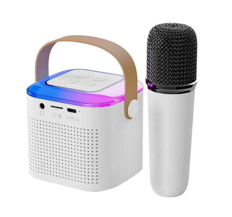 Y1 Wireless Dual Microphones Karaoke Machine KTV DSP System Bluetooth 5.3 PA Speaker HIFI Stereo Surround RGB Colorful LED Lights