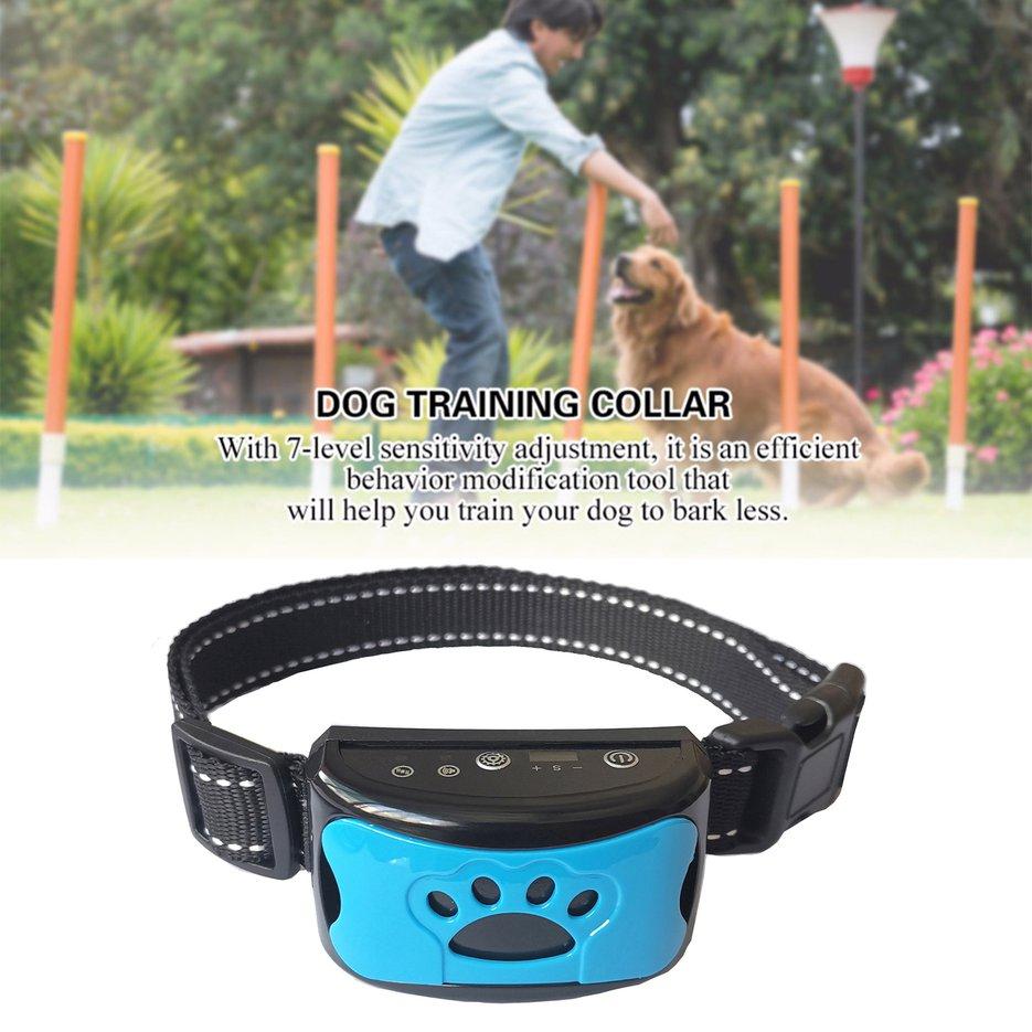 using e collar to stop barking