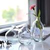 Fashion Retro Flower Vase Glass Gradient Color Hydroponic Vase Mini Irregular Home Decoration Accessories