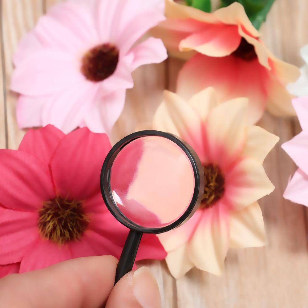 Insect viewer Educational Tool Reading Glass Lens  5X Magnifying Hand Held Magnifier Jewelry Loupe
