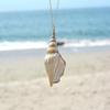 Gold-Plated Conch Pendant Necklace - Creative Natural Shell Clavicle Accessory for Women