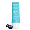 Dot & Key Blåbär Hydrate Barriärreparerande Solskydd SPF 50+ PA++++ 50g | Lätt & Icke-fet Hudskydd