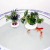 Plastic Hydroponic Planting Basket Floating Water Culture Planter Aquatic Plant Holder  Aquarium
