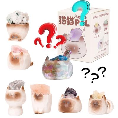 Cartoon Mystery Cats Crystal Statue Miniature Resins Ornament Surprise Collection Desktop Decoration Accessories Gifting