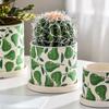 Creative Cartoon Fruit Ceramic Flower Pot Plant Flower Pot with Tray Cylindrical Countertop Flower Pot Living Room Garden Decor