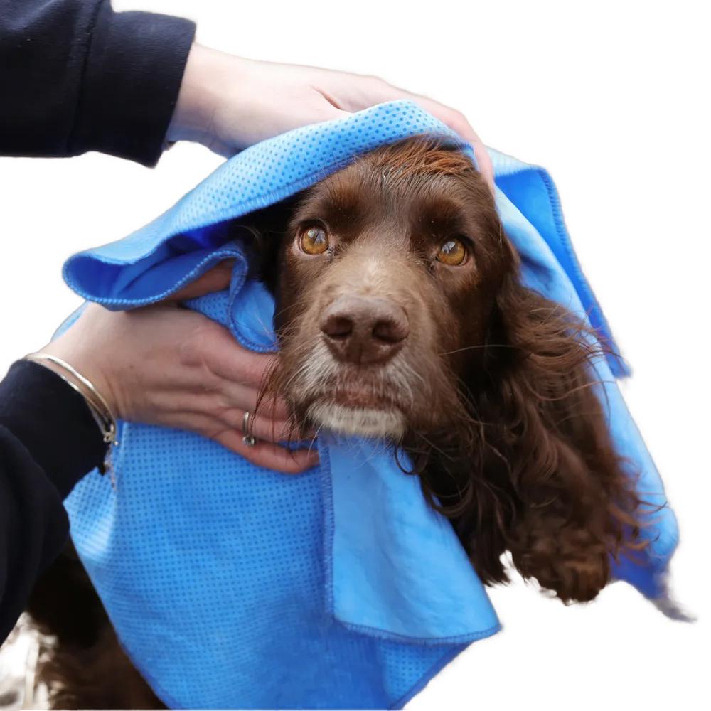 Benji & Flo Quick Dry Dog Towel