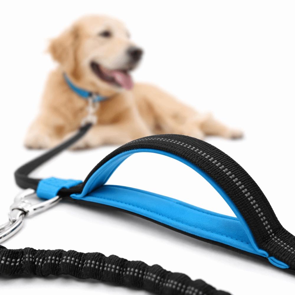 3pcs Multi-Compartment Running Waist Bag Zippered Closure Outdoor Waist Bag For Training