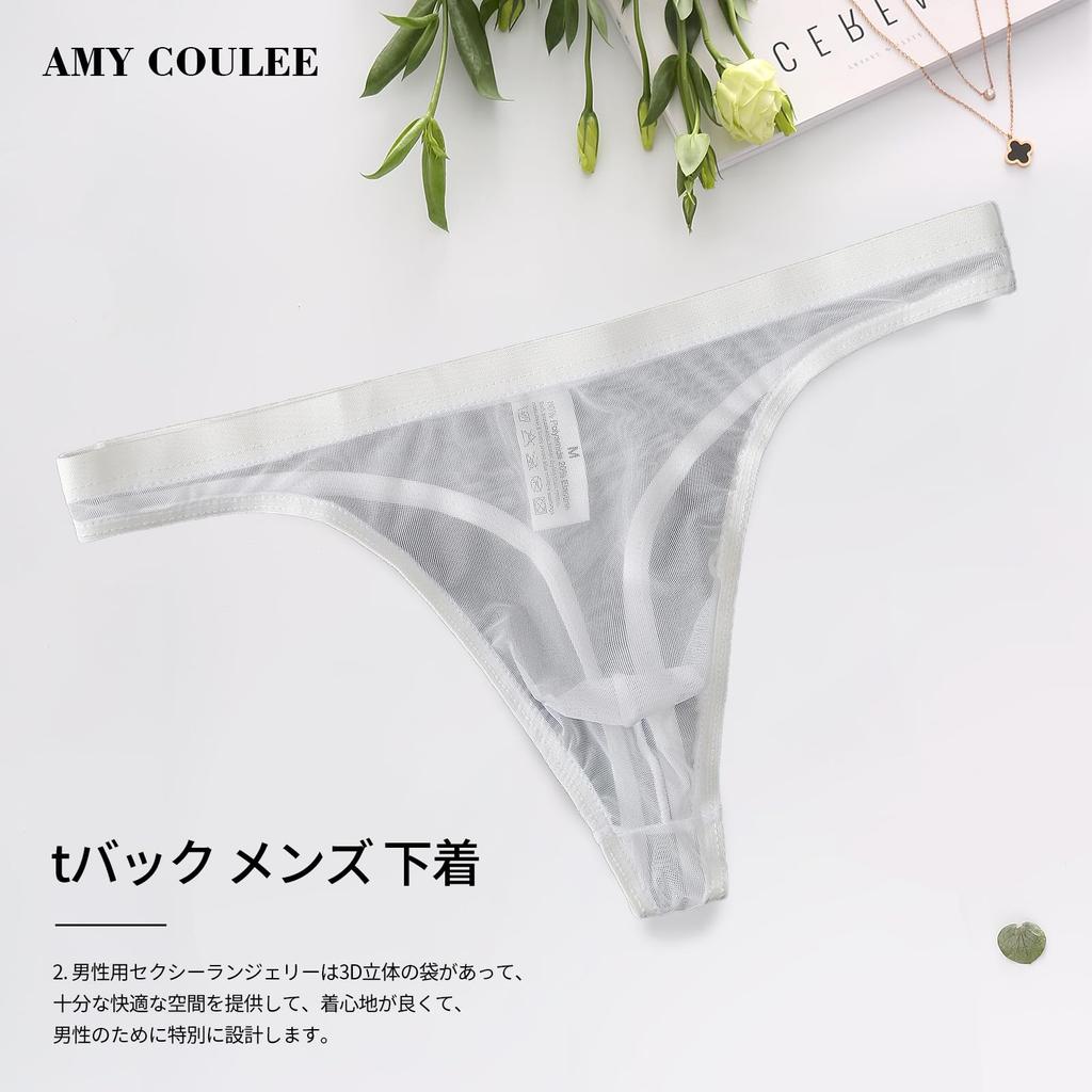 Amy Coulee Sheer Micro Mesh Sexy Lingerie Men's T-Back, Ultra-Thin (White, L)