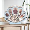 Snäckskalsdisplaylåda Träsnäckskalshållare Fodral Bordsmittpunkt Elegant Liten Sjöstjärna Smyckesorganisatör för Arbetsrum Sovrum