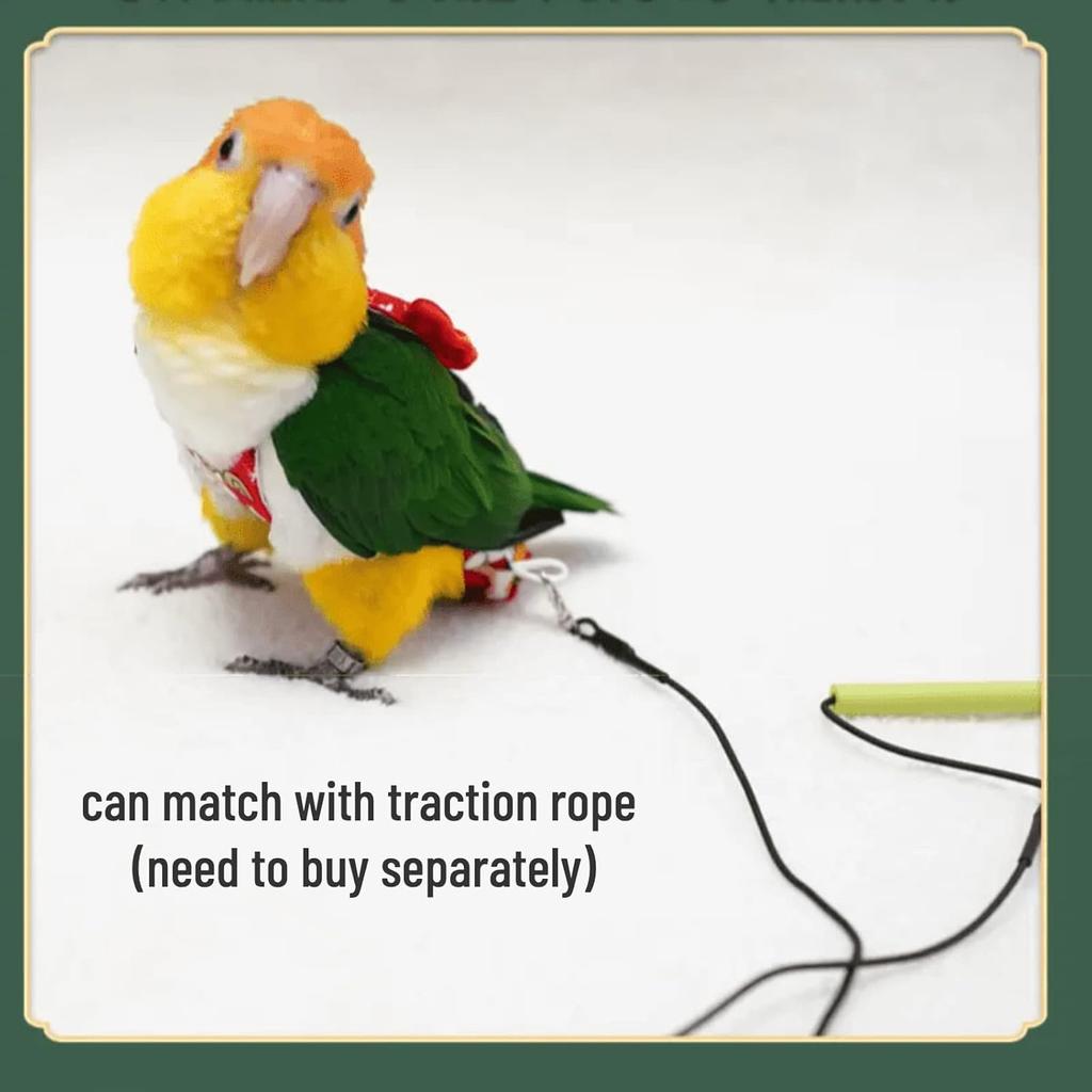Bird Flight Suits Diapers, Parrot Diapers for Monk Parakeets, Cockatiels Flight Suits, Parrot Clothes, Bird Training Nappy Suit Liners Clothes
