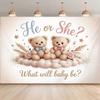 2D Planar Background Banner, Cute Little Bear "He or She?" What Will Baby Be?” Background Fabric for the Theme Pattern