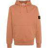 Solid Color Hooded Long Sleeve Sweatshirt Men Sweatshirt Orange 801564151-V0013