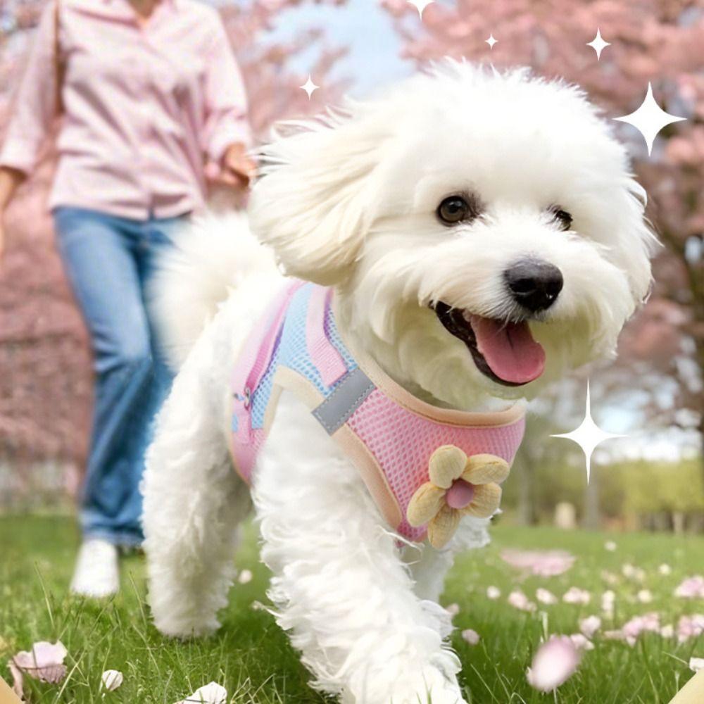 Anti Escape Dog Leash Set No Pull Cat Chest Strap Pet Harness Vest  French Bulldog Chihuahua Pug