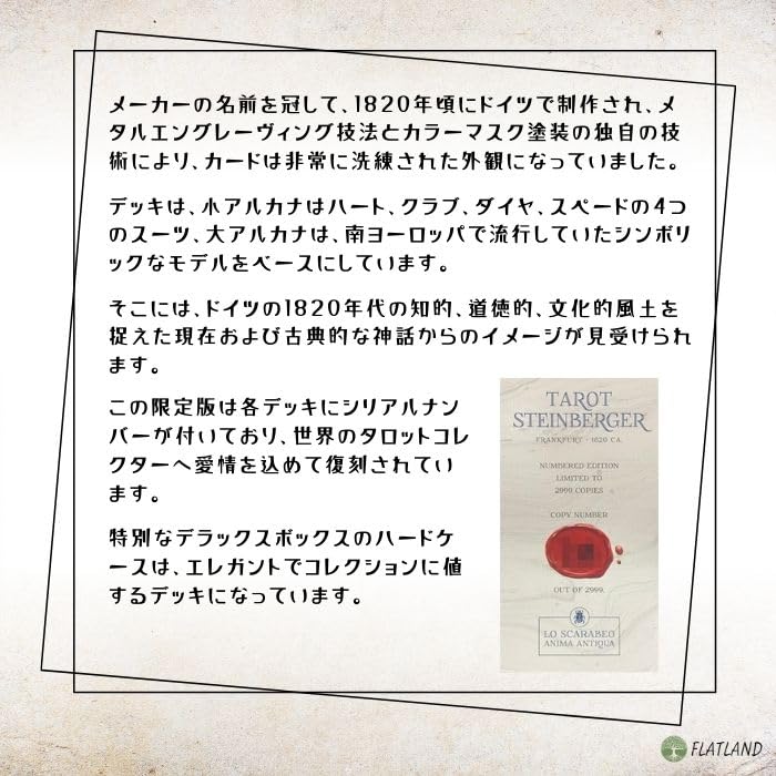 Steinberger Tarot, Tarot Reading Instructions, Japanese Instruction Manual Included, Authentic Tarot, 78 Cards