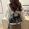2025 New Spring Large Capacity Solid Color Casual Simple Multifunctional Crossbody One Shoulder Double Shoulder Tote Bag Women