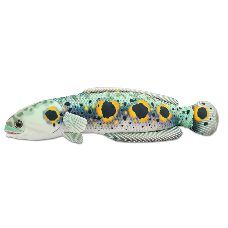 

takeoff snake head Real cute fish series